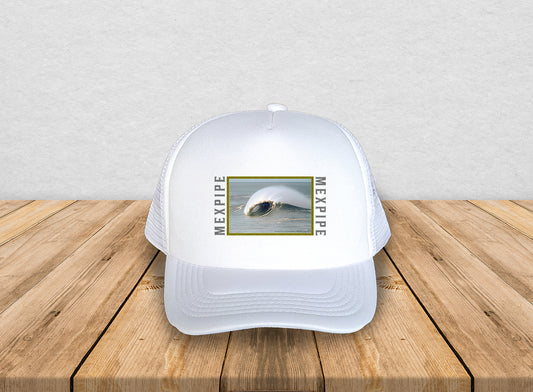 Gorra Will Dillon